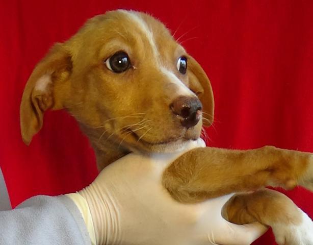 multimedia-foto45109-901-3