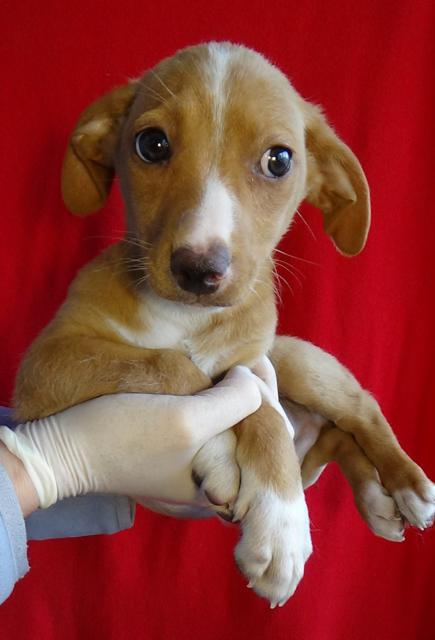 multimedia-foto45110-901-3