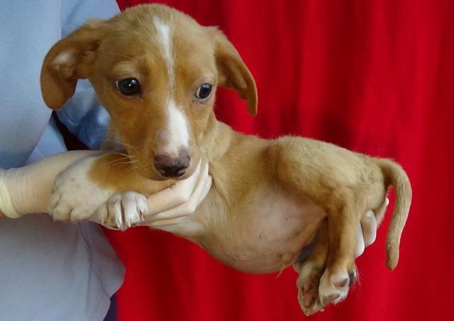 multimedia-foto45111-902-3