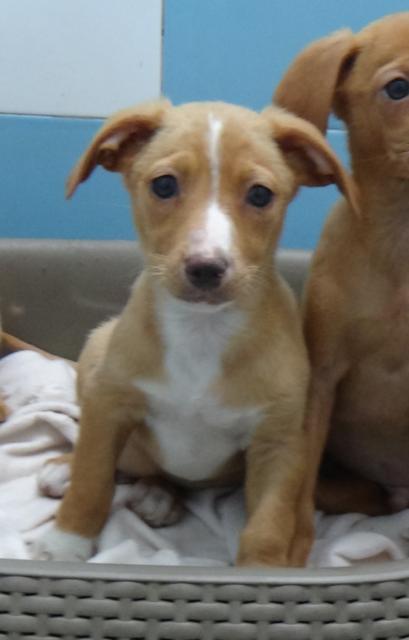 multimedia-foto45112-902-3