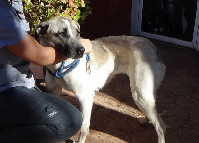 multimedia-foto45131-721-3