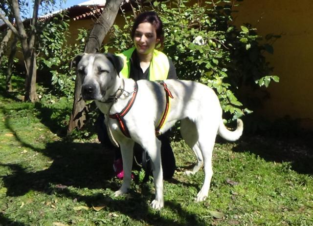 multimedia-foto45132-722-3