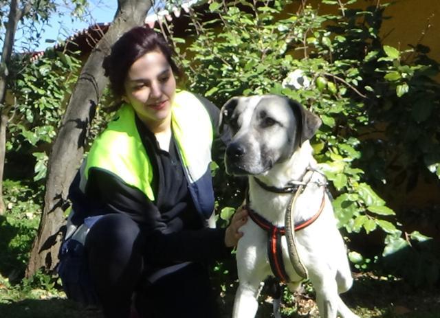 multimedia-foto45133-722-3