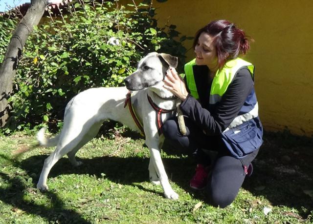 multimedia-foto45134-723-3