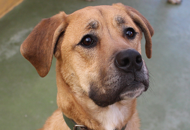 multimedia-foto45142-946-3