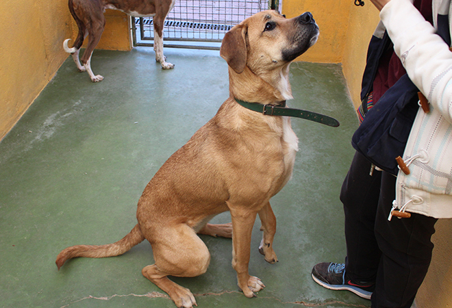 multimedia-foto45143-947-3