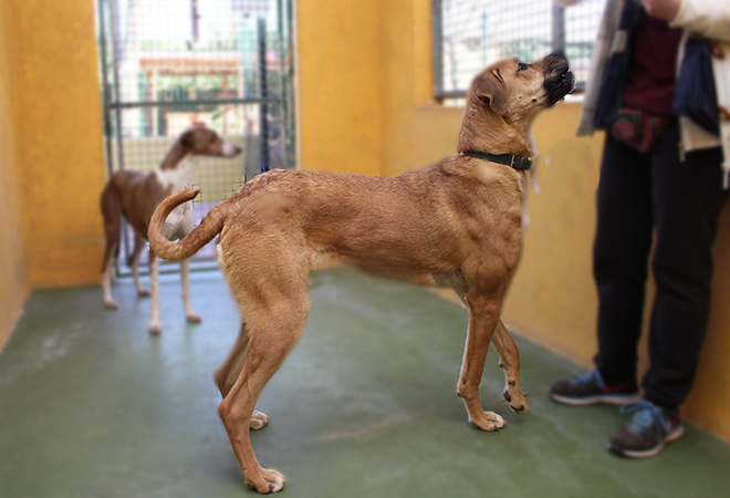 multimedia-foto45144-947-3