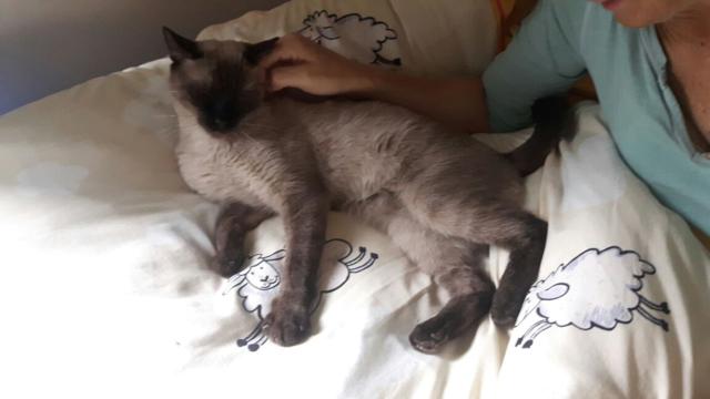 multimedia-foto45148-122-3