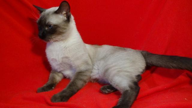 multimedia-foto45149-122-3