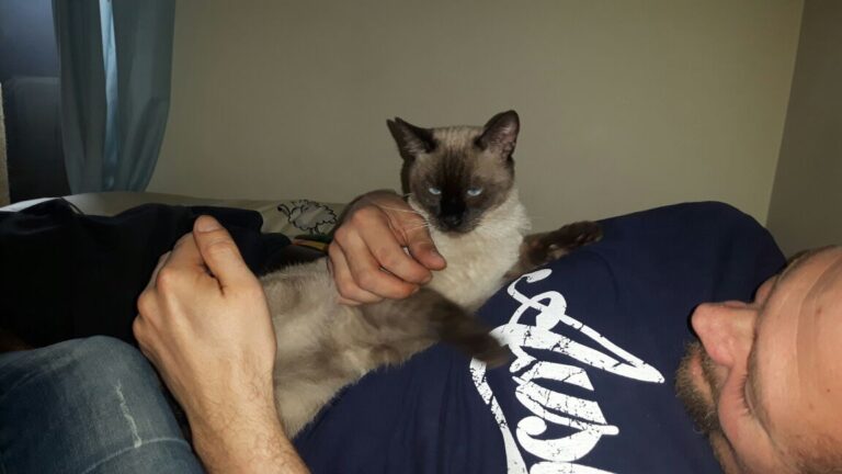 multimedia-foto45151-123-3