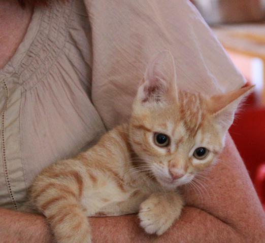 multimedia-foto45152-327-3