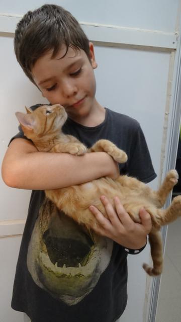 multimedia-foto45169-129-3