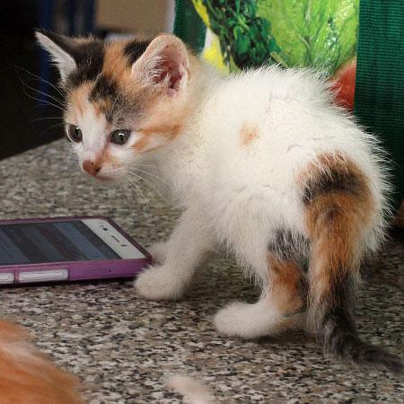 multimedia-foto45184-25-3