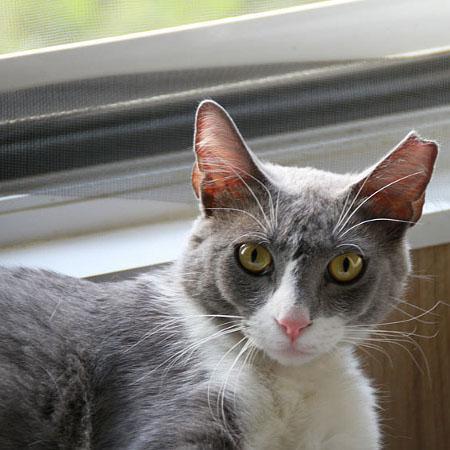 multimedia-foto45261-334-3