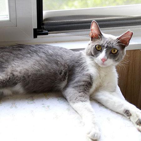 multimedia-foto45262-334-3