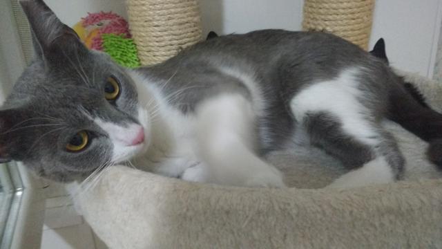 multimedia-foto45264-335-3