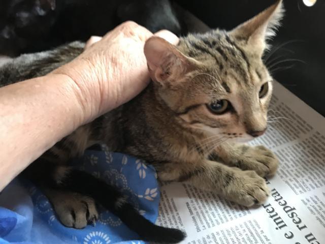 multimedia-foto45289-615-3