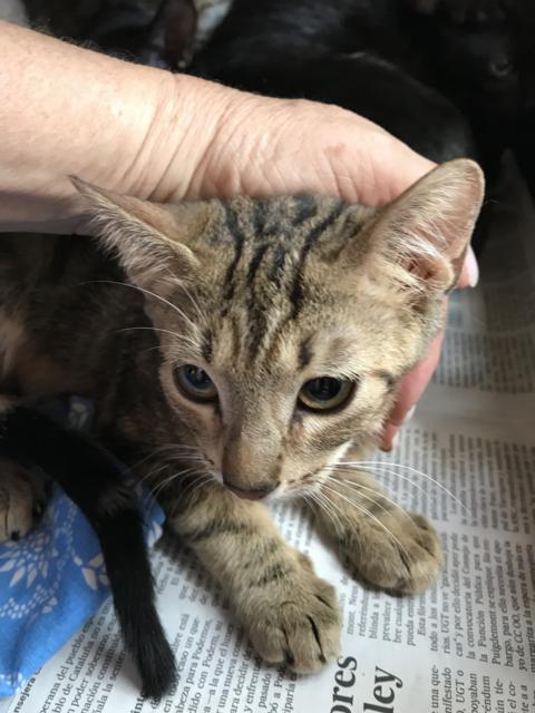 multimedia-foto45290-615-3