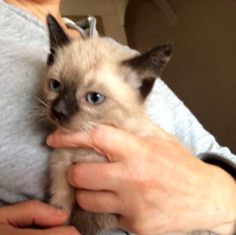 multimedia-foto45298-224-3