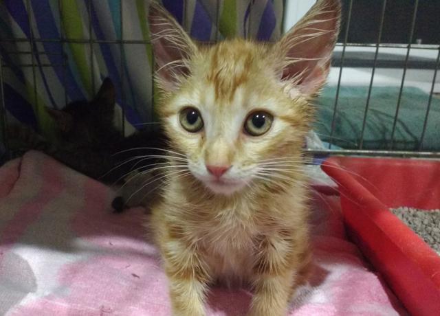 multimedia-foto45303-768-3