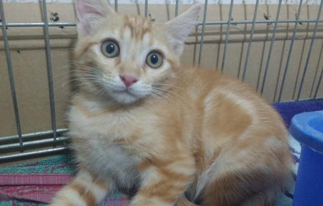 multimedia-foto45304-769-3