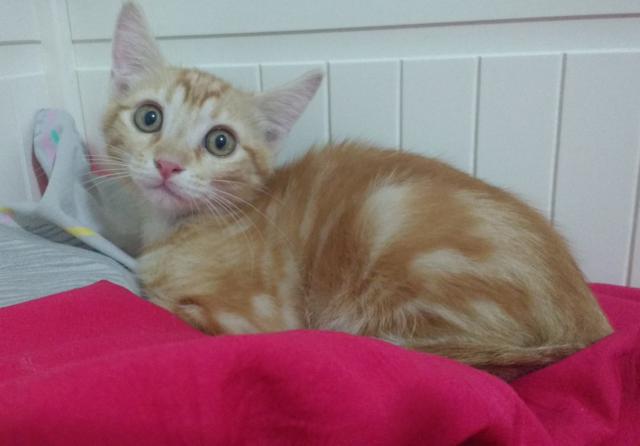 multimedia-foto45305-769-3