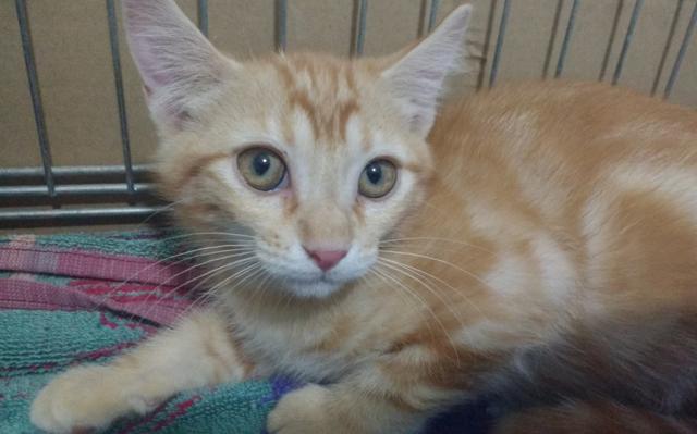 multimedia-foto45306-770-3