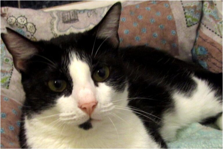 multimedia-foto45348-962-3