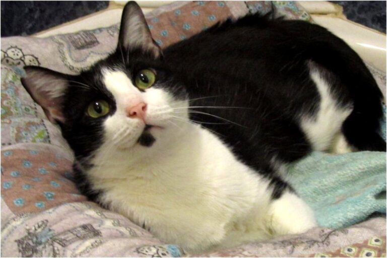 multimedia-foto45349-962-3