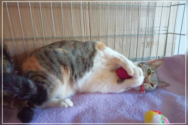 multimedia-foto45351-744-3