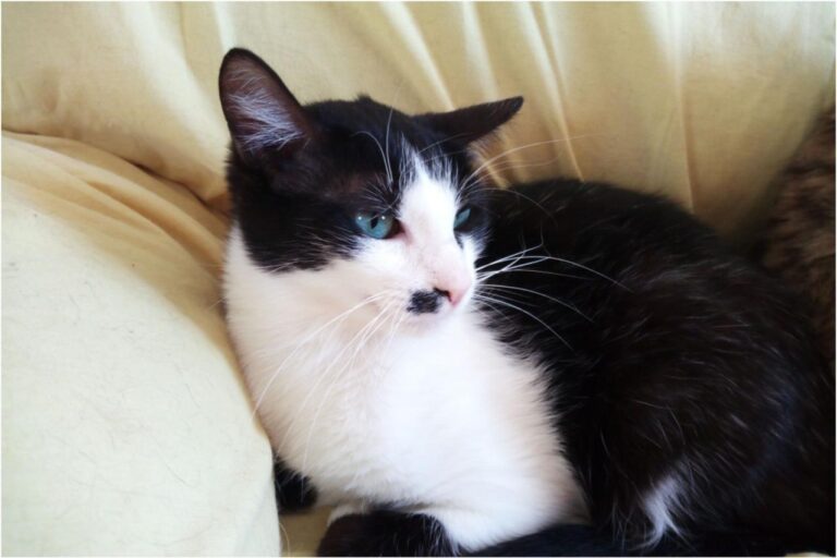 multimedia-foto45373-989-3