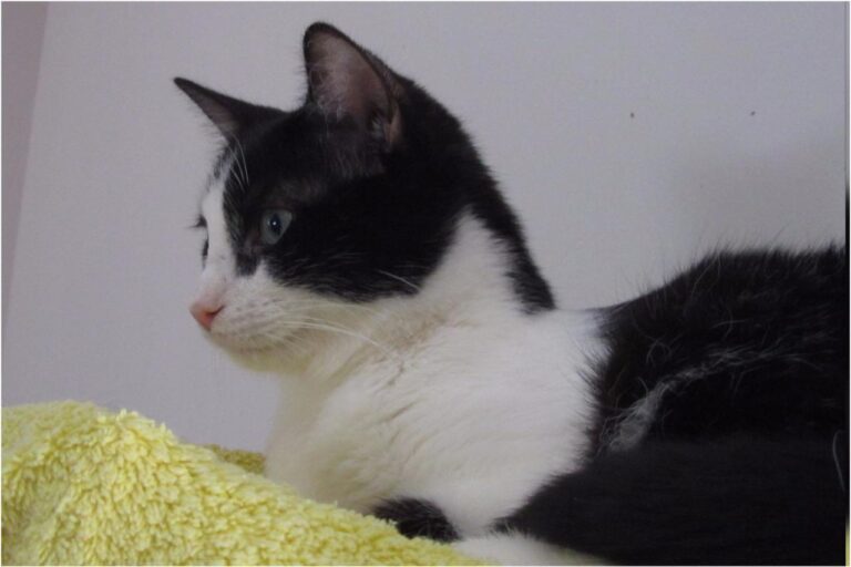 multimedia-foto45374-989-3