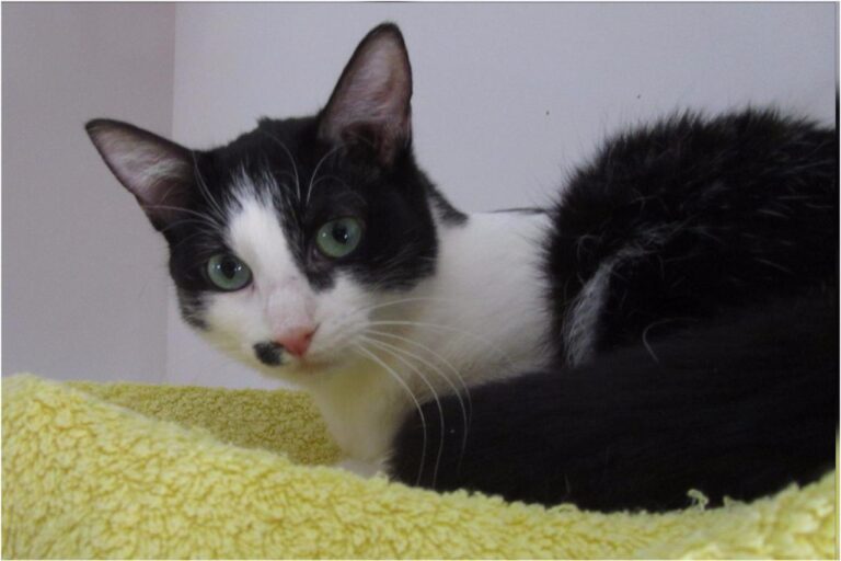 multimedia-foto45375-990-3