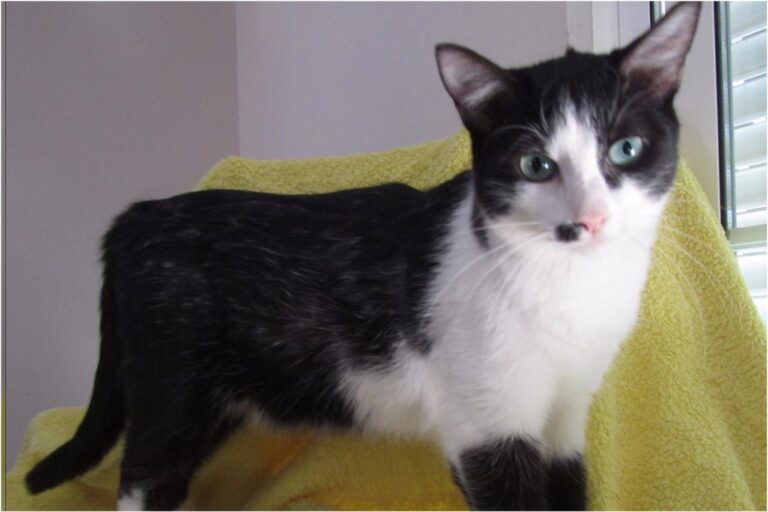 multimedia-foto45376-16-3