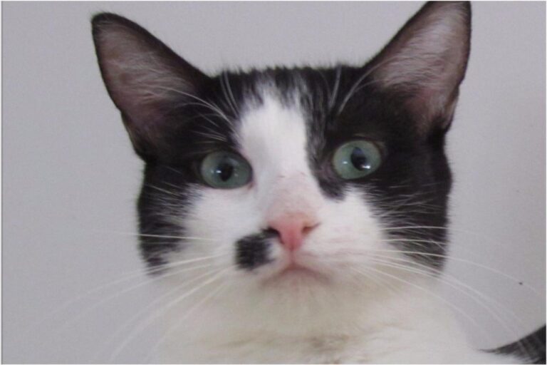 multimedia-foto45379-19-3