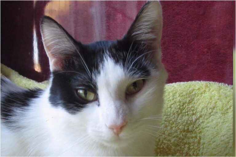 multimedia-foto45391-400-3