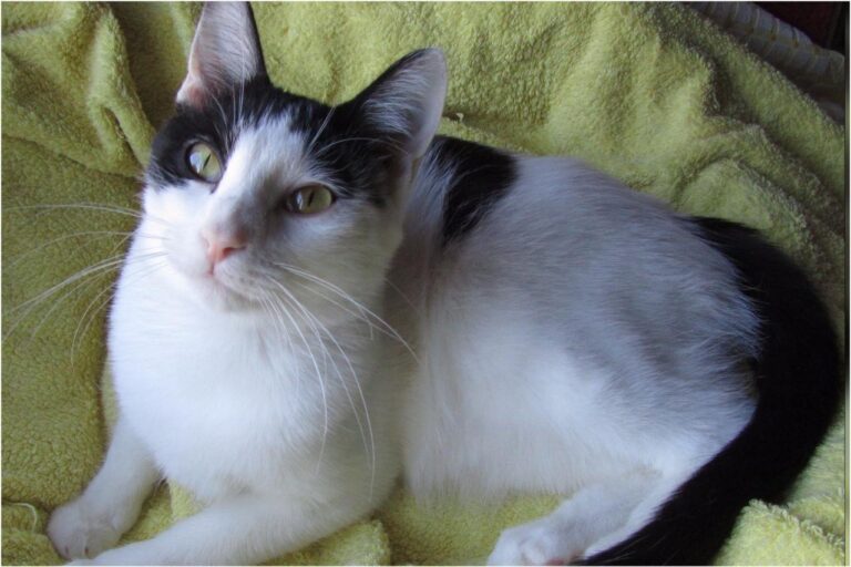 multimedia-foto45392-401-3