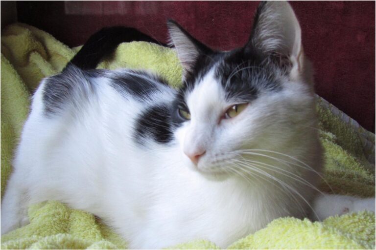 multimedia-foto45394-402-3