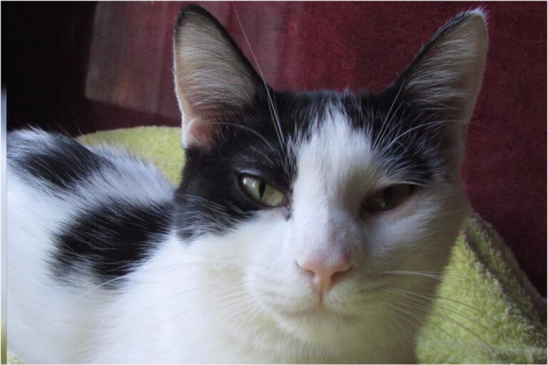 multimedia-foto45396-430-3