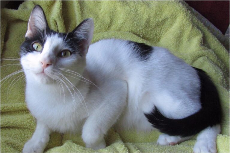 multimedia-foto45398-431-3