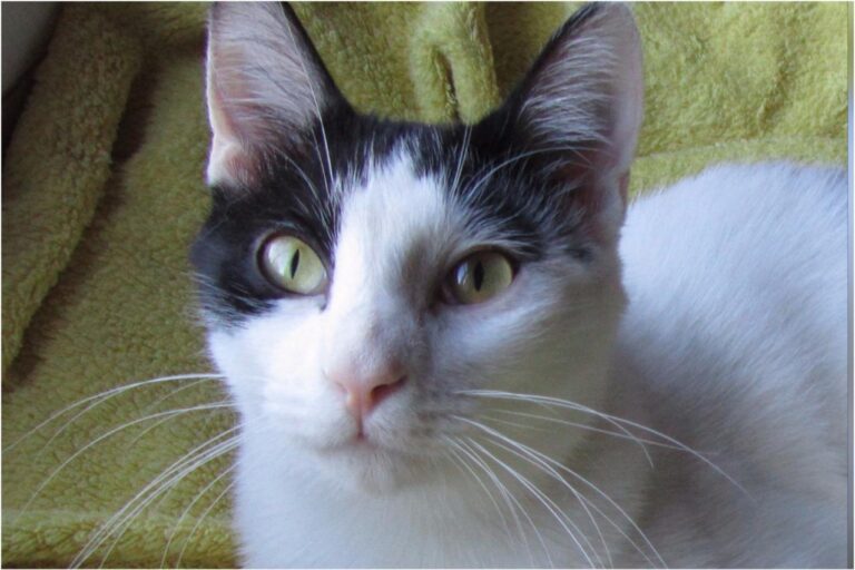 multimedia-foto45400-451-3