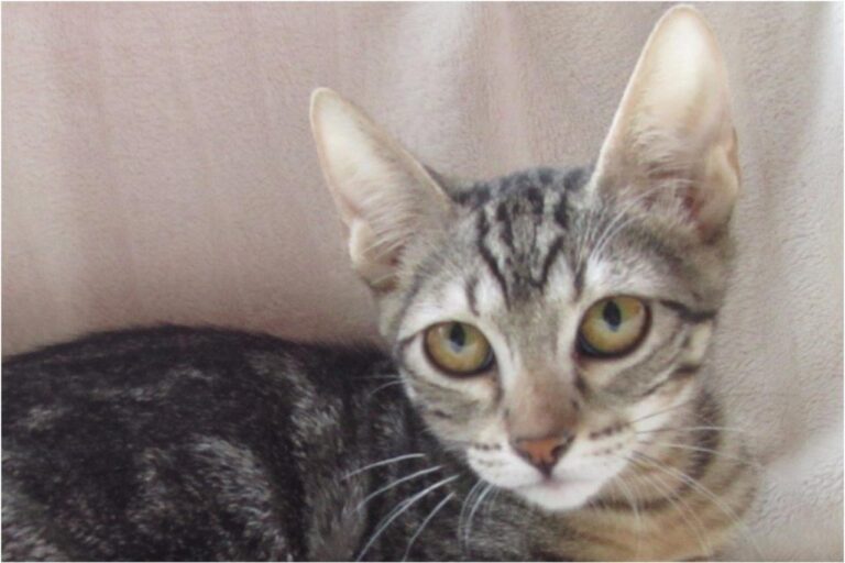 multimedia-foto45407-122-3