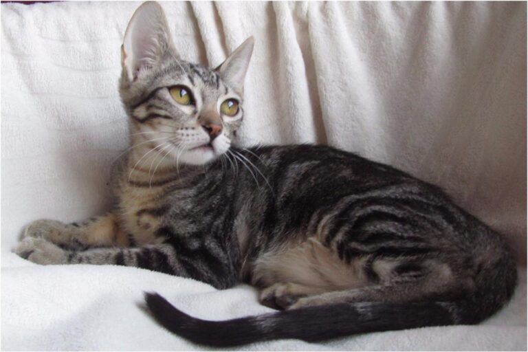 multimedia-foto45412-147-3