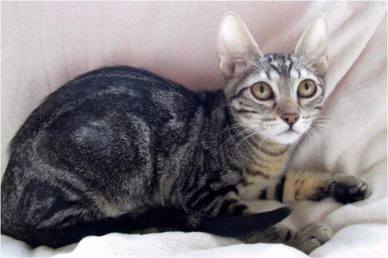 multimedia-foto45413-148-3