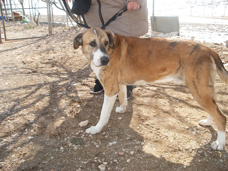 multimedia-foto45424-477-3