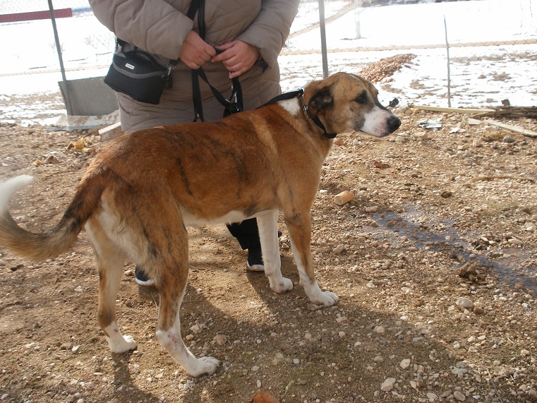 multimedia-foto45425-477-3