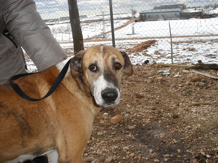 multimedia-foto45426-478-3