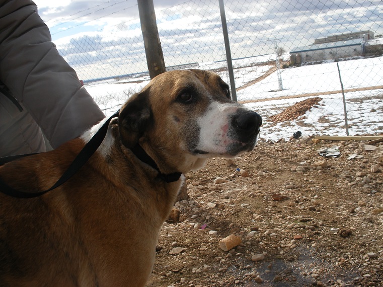 multimedia-foto45427-478-3