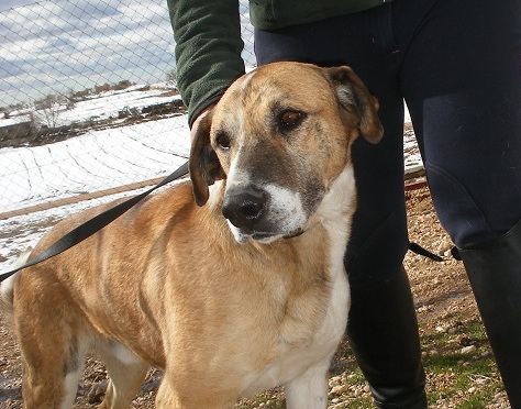 multimedia-foto45428-505-3