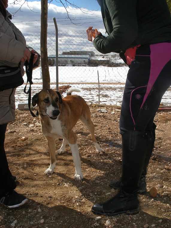 multimedia-foto45429-506-3